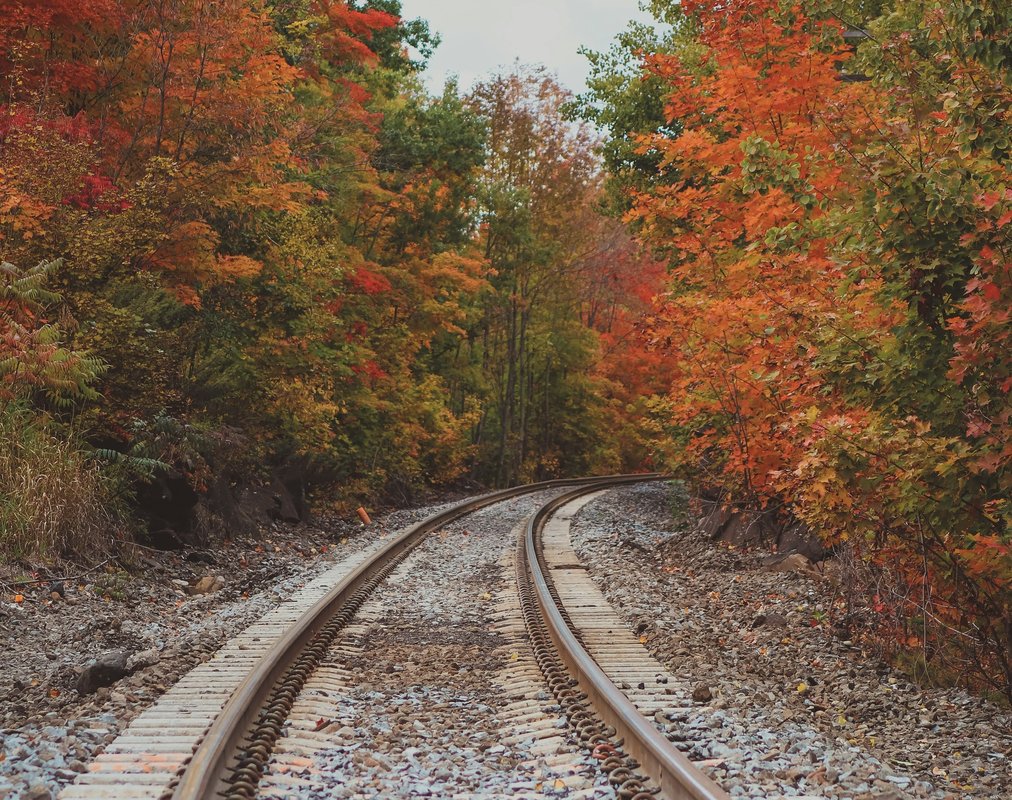 Regain the legal wind!