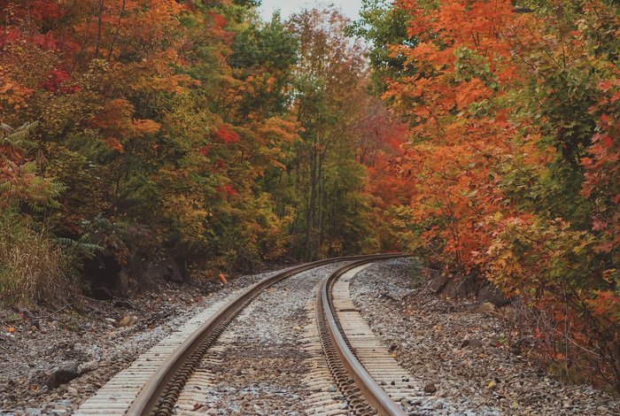 Regain the legal wind!