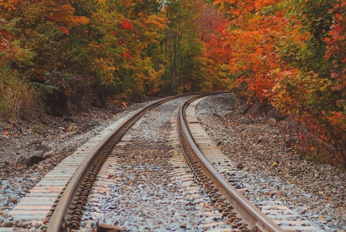 Regain the legal wind!