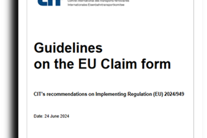 CIT Guidelines on a new common EU Claim form